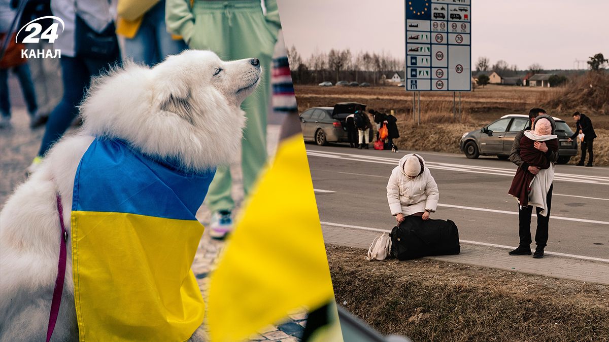 Сколько беженцев не планируют возвращаться в Украину Сколько беженцев не планируют возвращаться в Украину