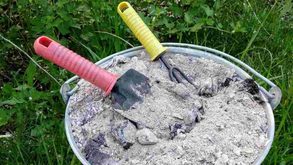 Дачники активно використовують деревний попіл / Фото Pexels Дачники активно використовують деревний попіл / Фото Pexels