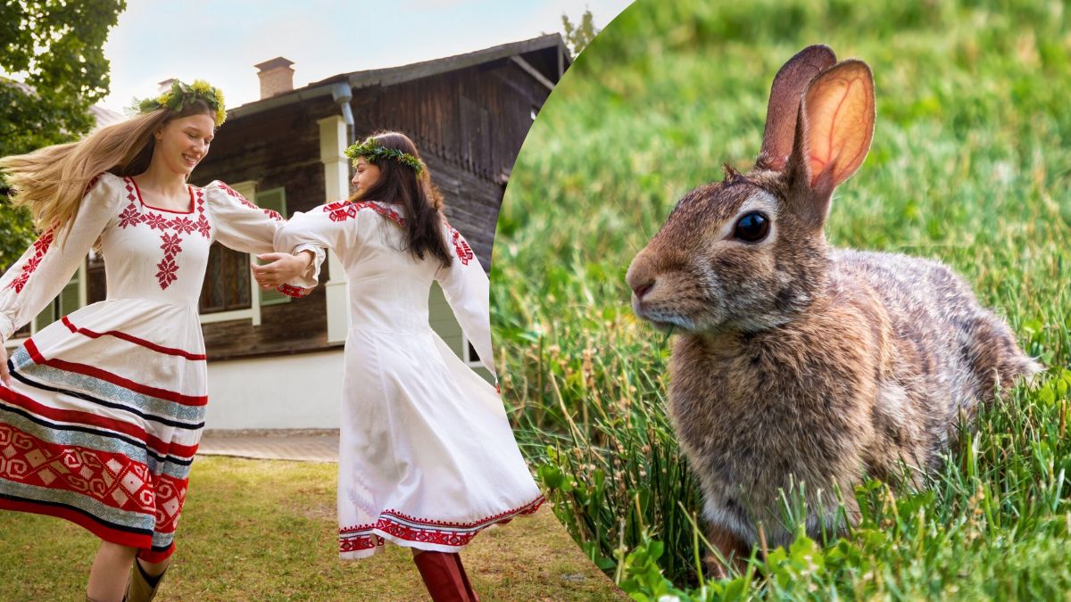 Чеберяты - это что делать? Чеберяты - это что делать?