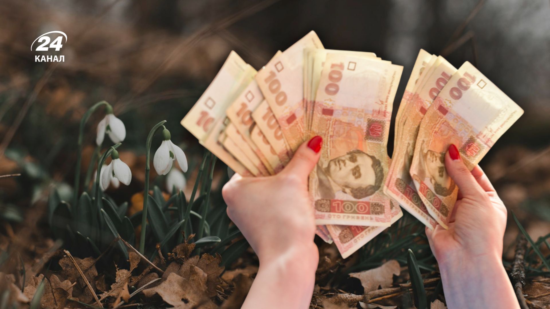 У валюті чи гривні: які депозити є вигіднішими для українців