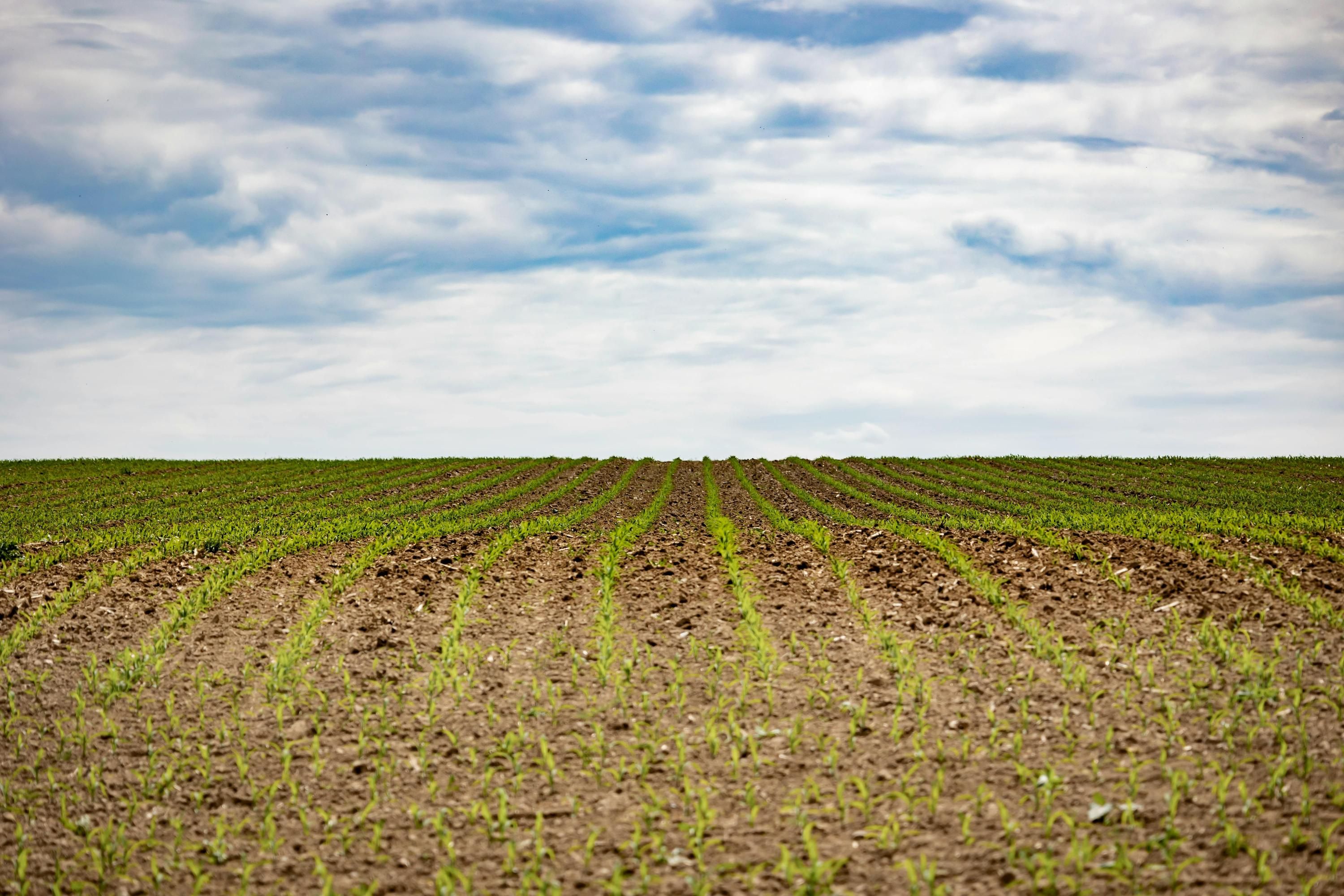 Аренда земли для фермерства Аренда земли для фермерства