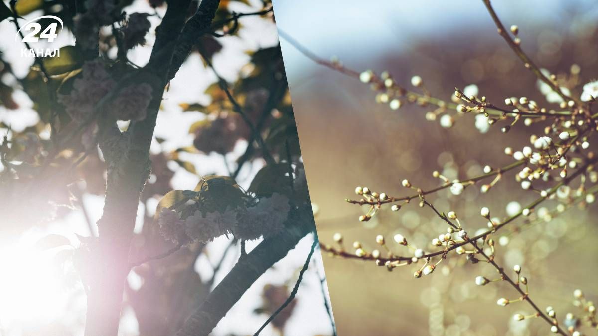 Погода в Украине изменится - 24 Канал