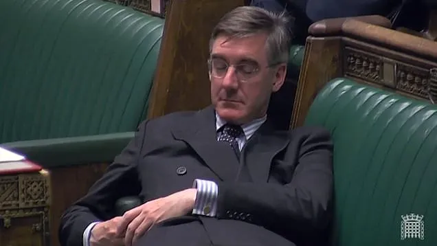 Джейкоб Різ-Могг, здавалося, заснув у Палаті громад під час дебатів щодо пропозиції сера Олівера Летвіна / фото Daily Mail