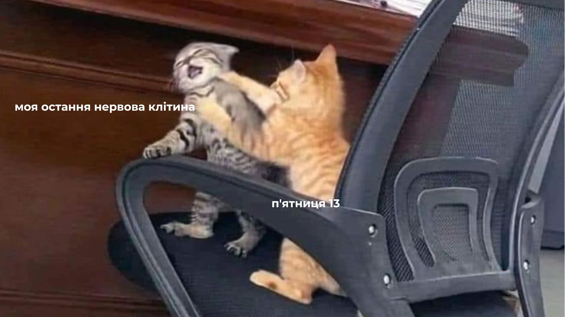 Меми про п'ятницю 13 Меми про п'ятницю 13