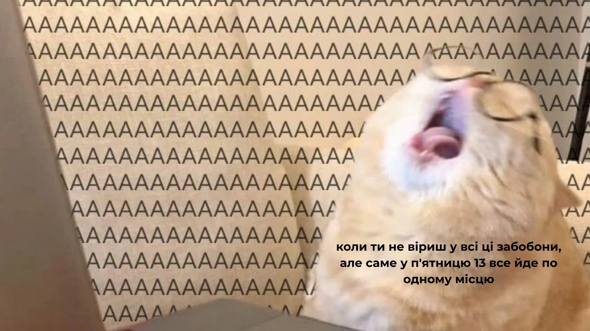 Меми про п Меми про п