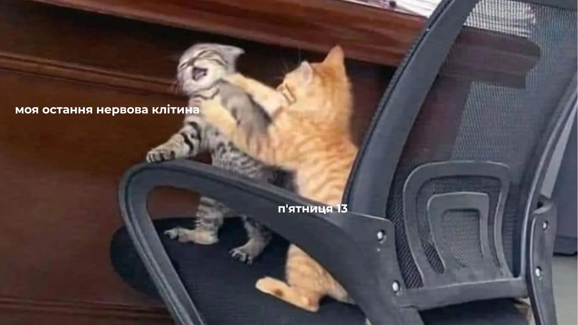 Меми про п Меми про п