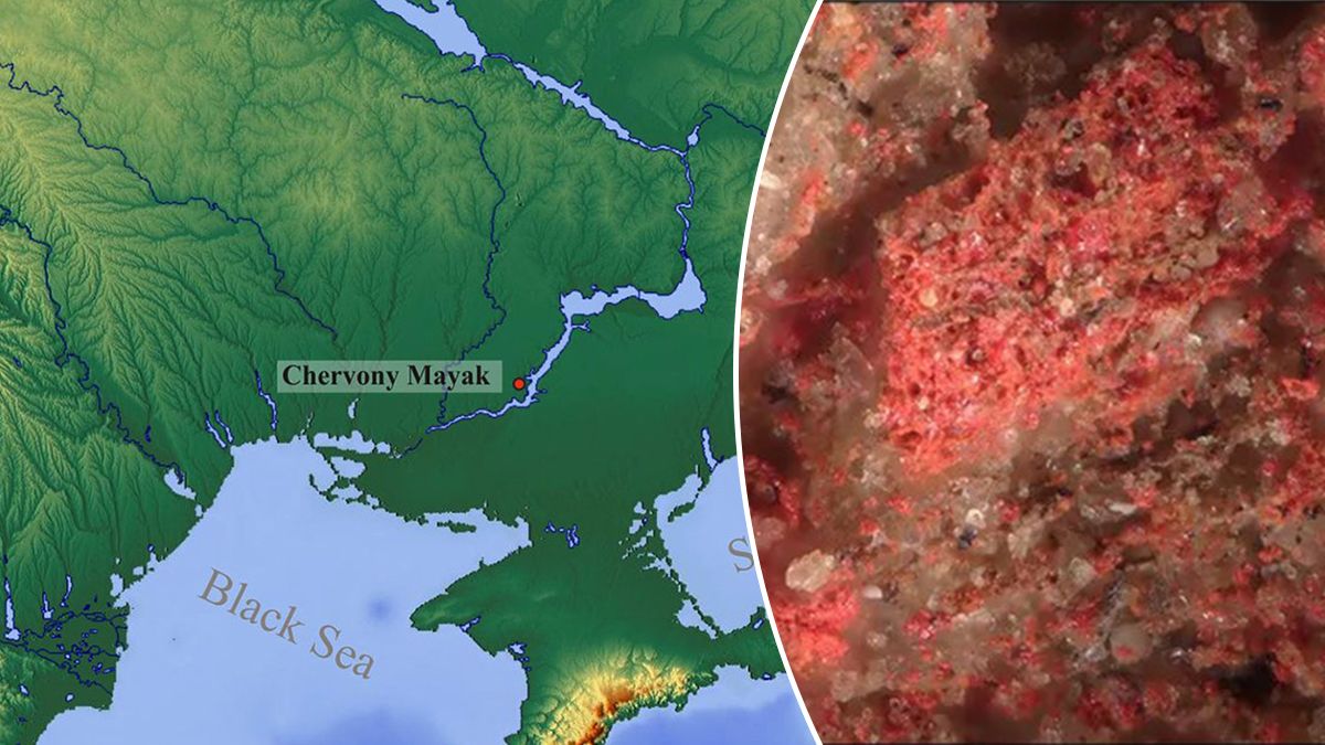 Скіфські поховання з токсичною кіновар'ю – що ховала знахідка у Червоному Маяку Скіфські поховання з токсичною кіновар'ю – що ховала знахідка у Червоному Маяку