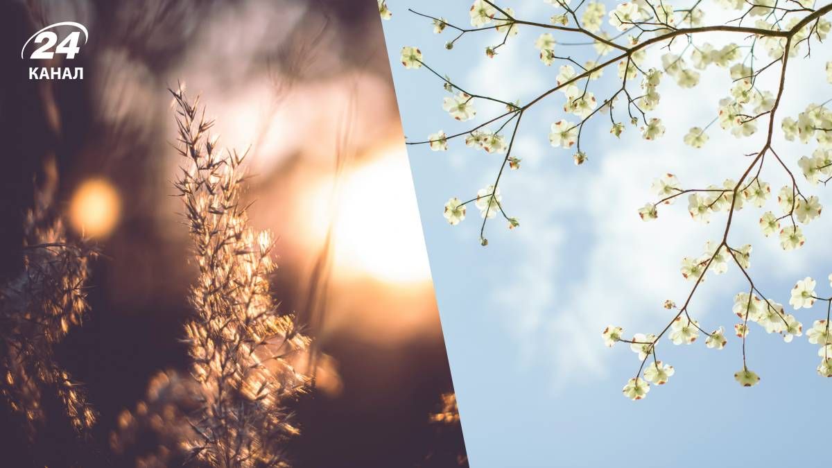 Прогноз погоди в Україні на 14 березня 2026 року