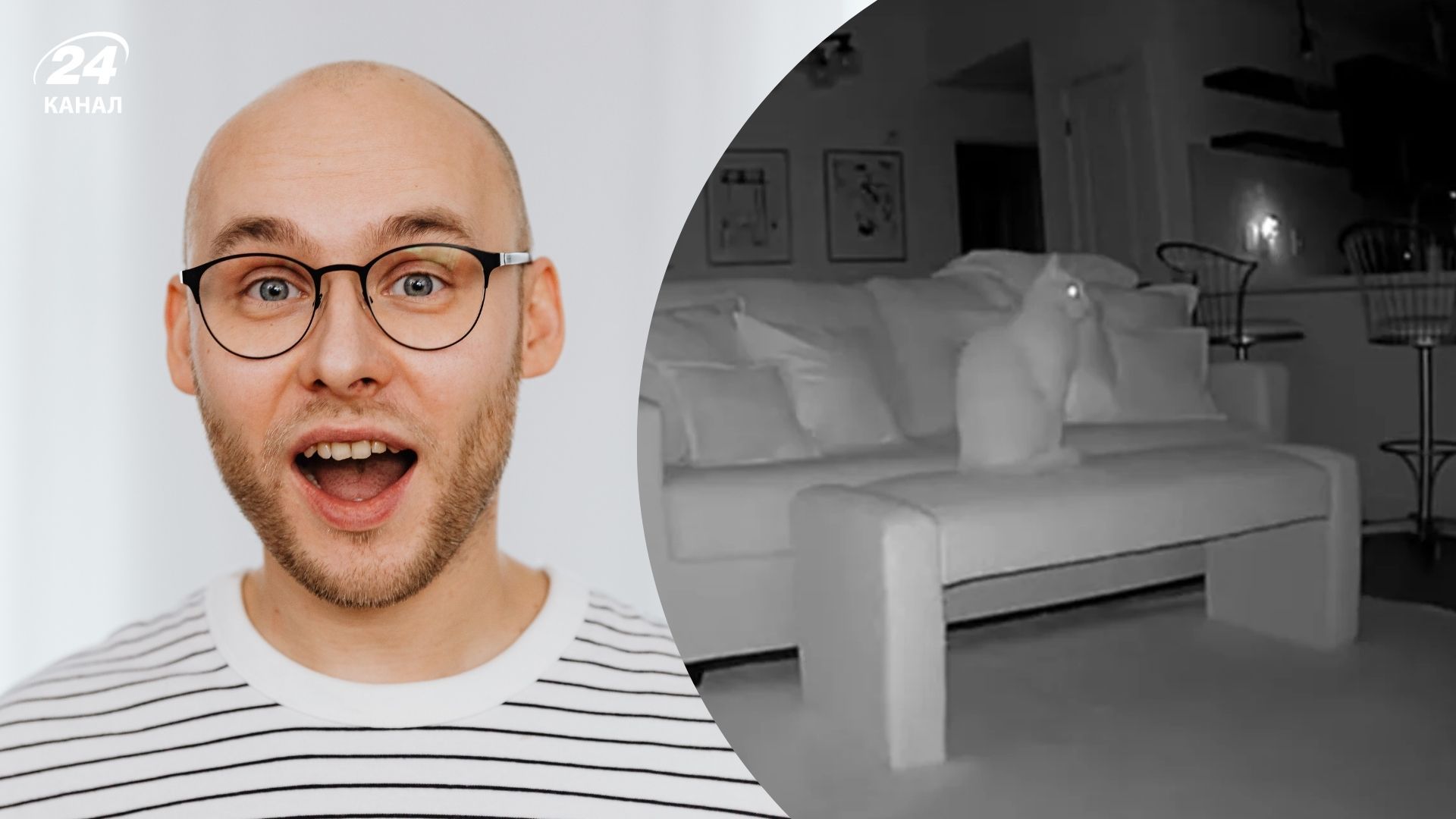  Кот по имени Чад умилил соцсети своим поведением