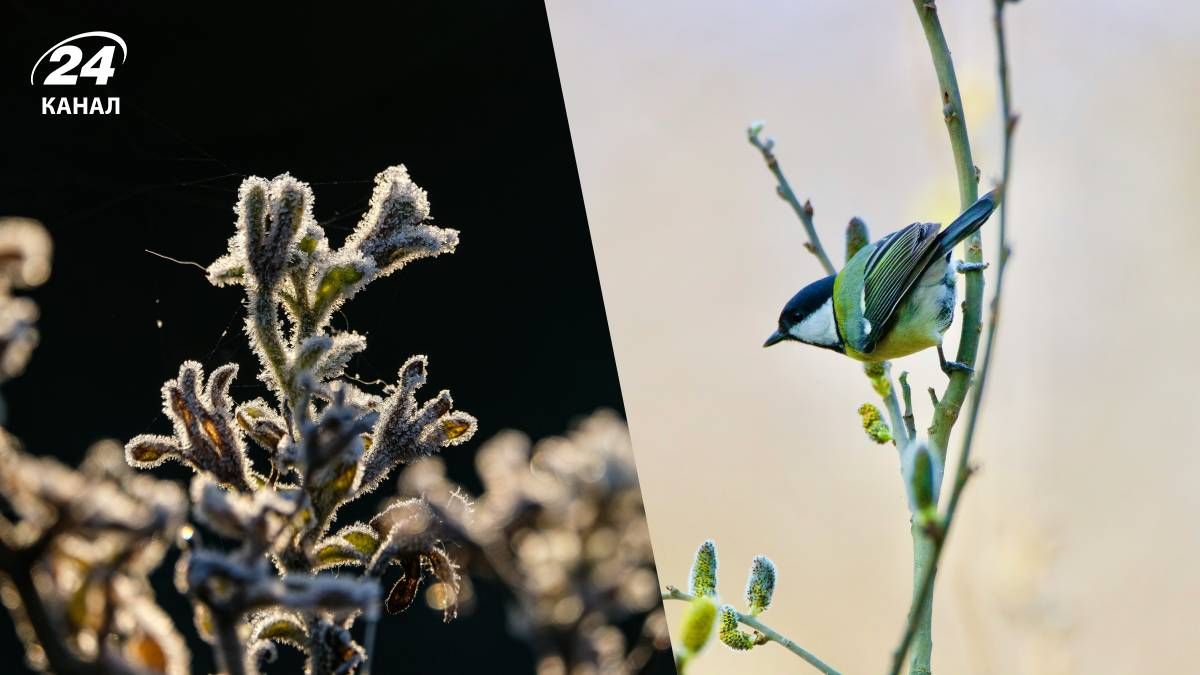 Прогноз погоды на выходные в Украине