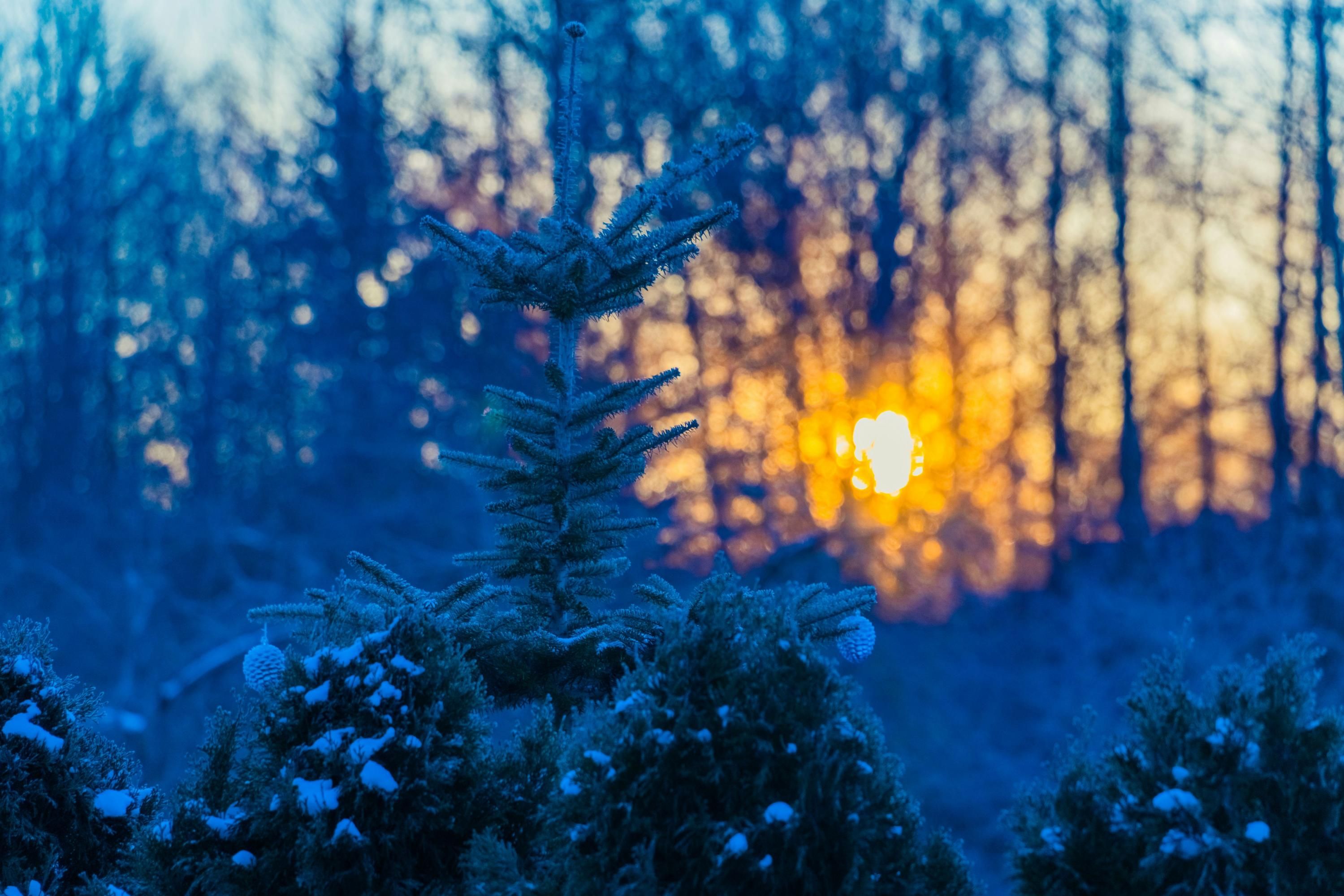 Погода в Украине претерпит изменения в скором времени Погода в Украине претерпит изменения в скором времени