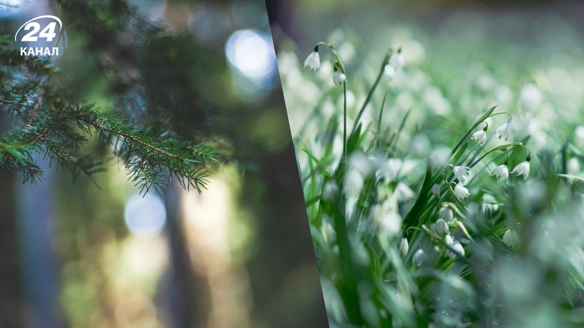 Погода в Україні Погода в Україні