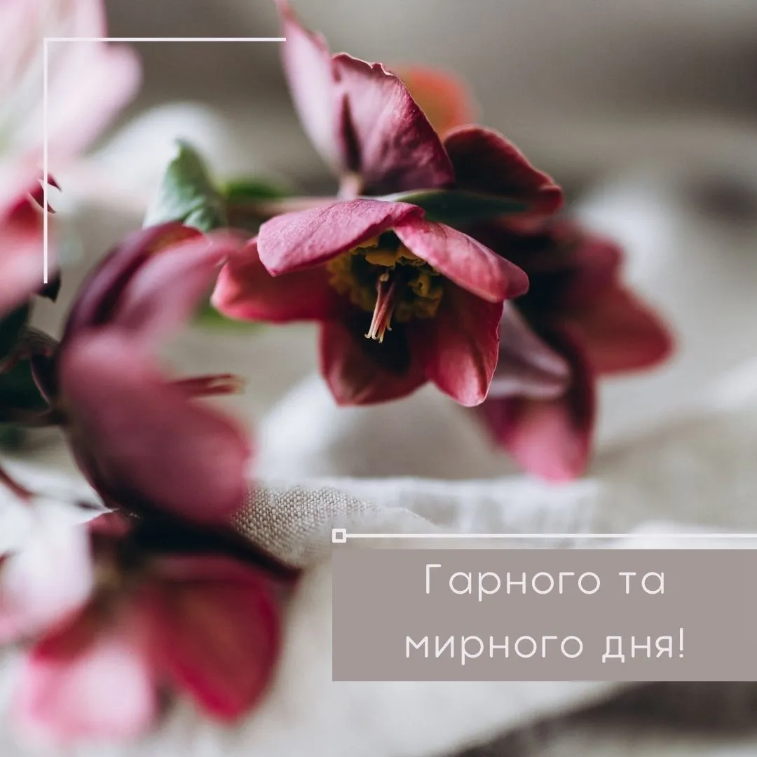 Побажання гарного дня Побажання гарного дня