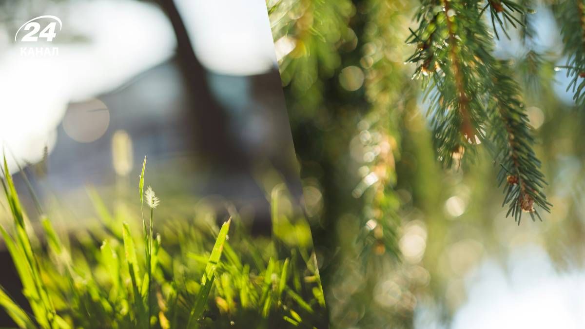 Прогноз погоди в Україні