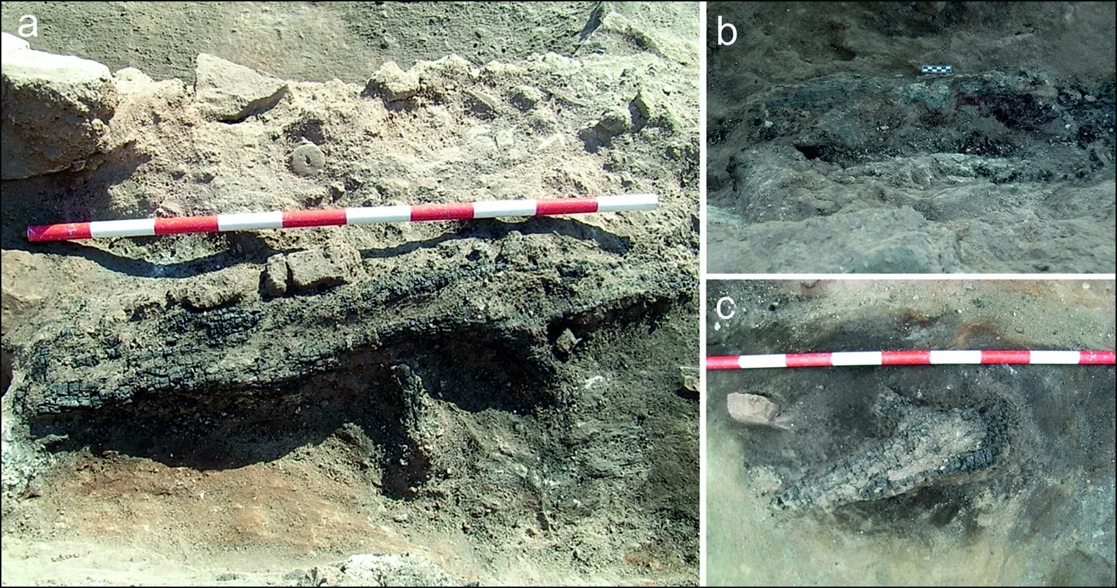 Залишки стародавнього ткацького верстата