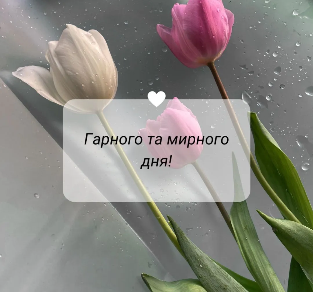 Пожелания хорошего дня Пожелания хорошего дня