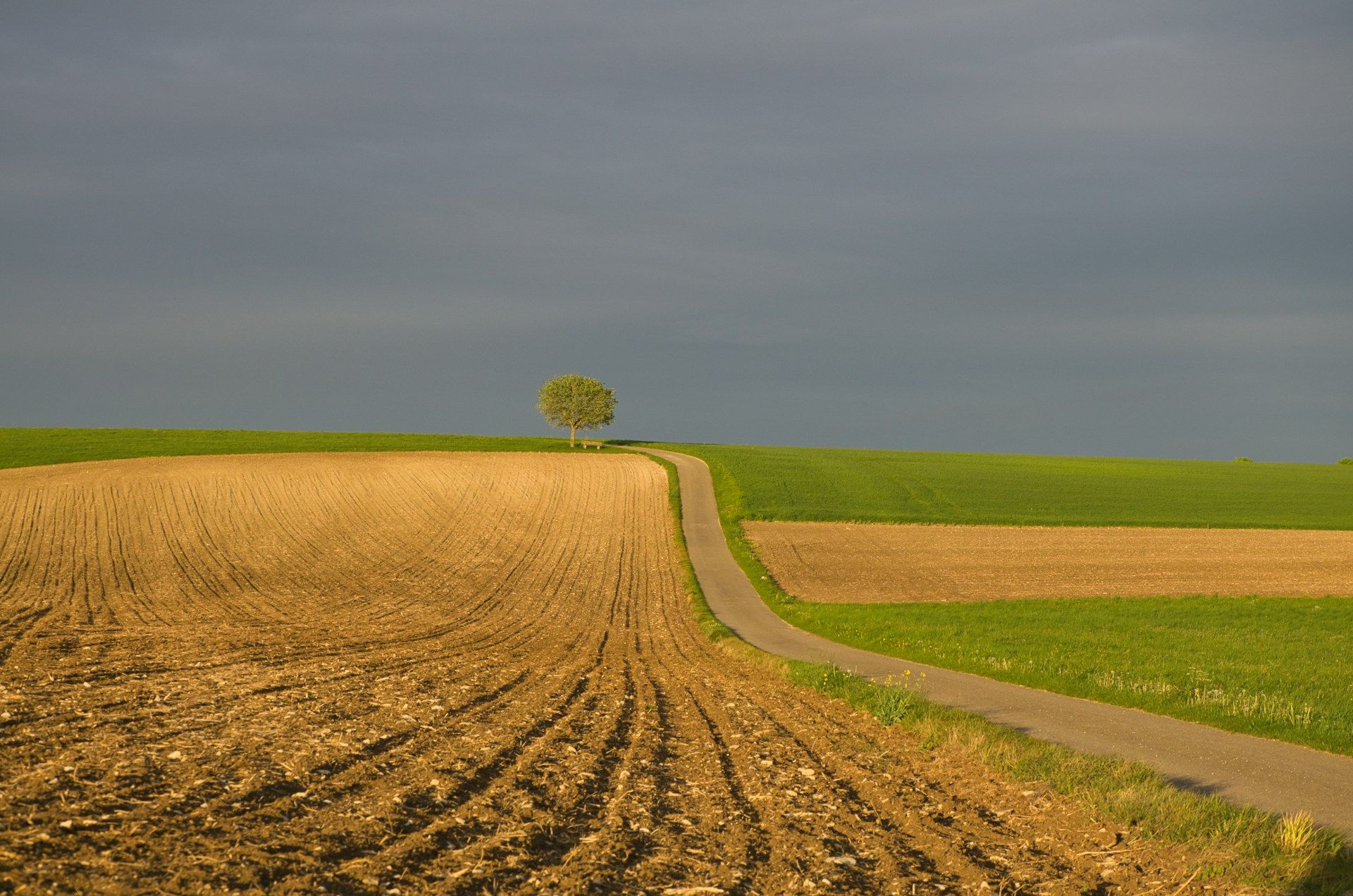 Кто не платит налог Кто не платит налог