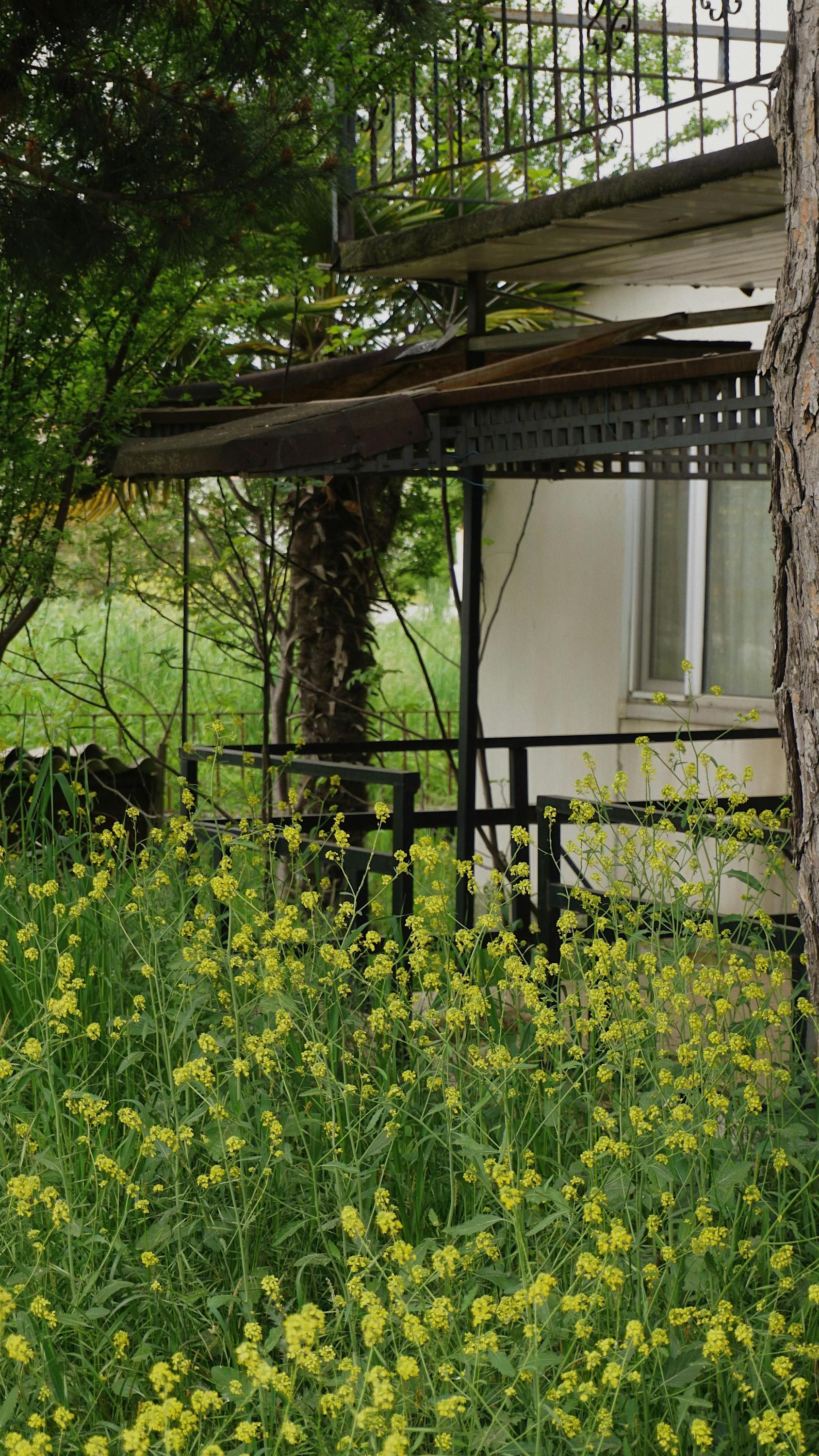 Может ли сосед претендовать на не приватизированную землю