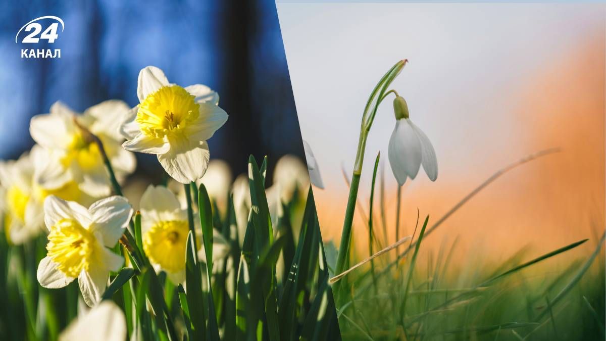 В конце недели возможно незначительное потепление