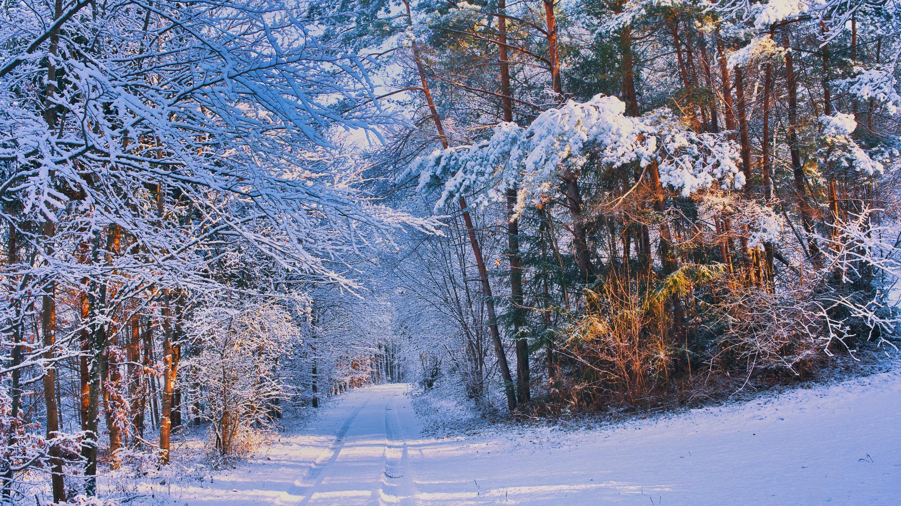 Інтенсивного снігу в Україні не буде Інтенсивного снігу в Україні не буде