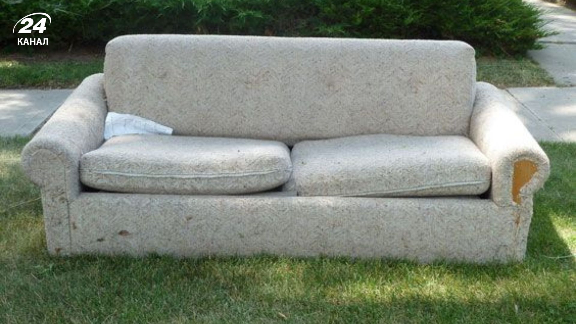 Старий диван можна ідеально очистити за допомогою простої суміші без хімікатів