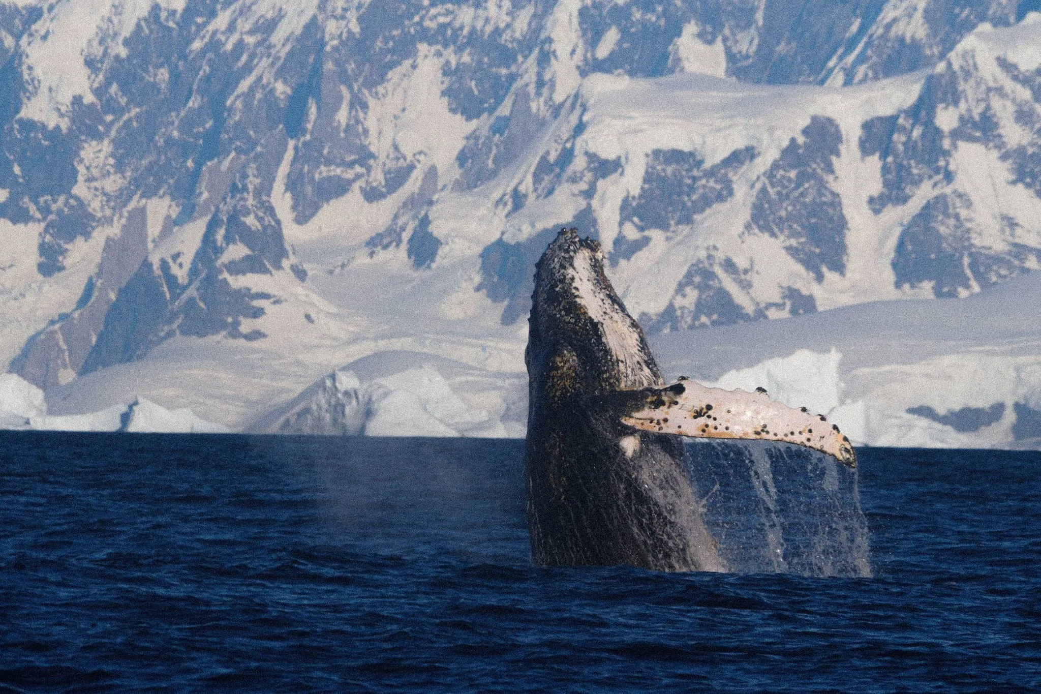 Захопливе видовище