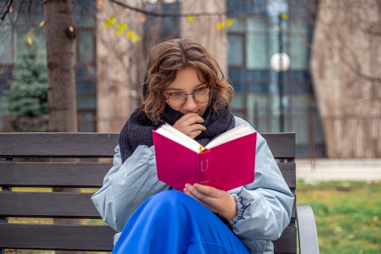 Чтение по школьной программе Чтение по школьной программе