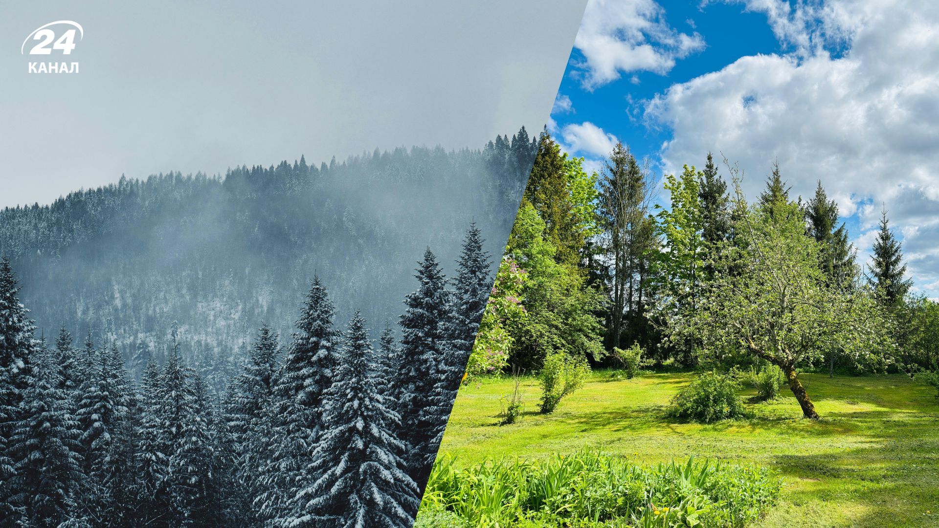 Украинцам объяснили, какой может быть погода летом 2026 года Украинцам объяснили, какой может быть погода летом 2026 года