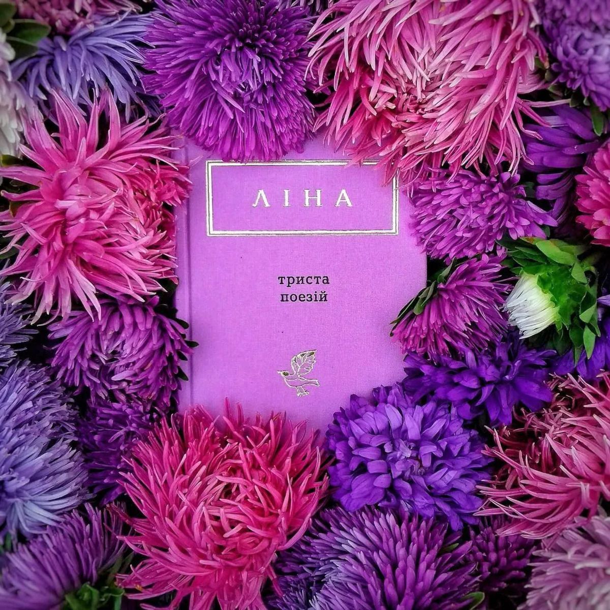 Стихи Лины Костенко Стихи Лины Костенко