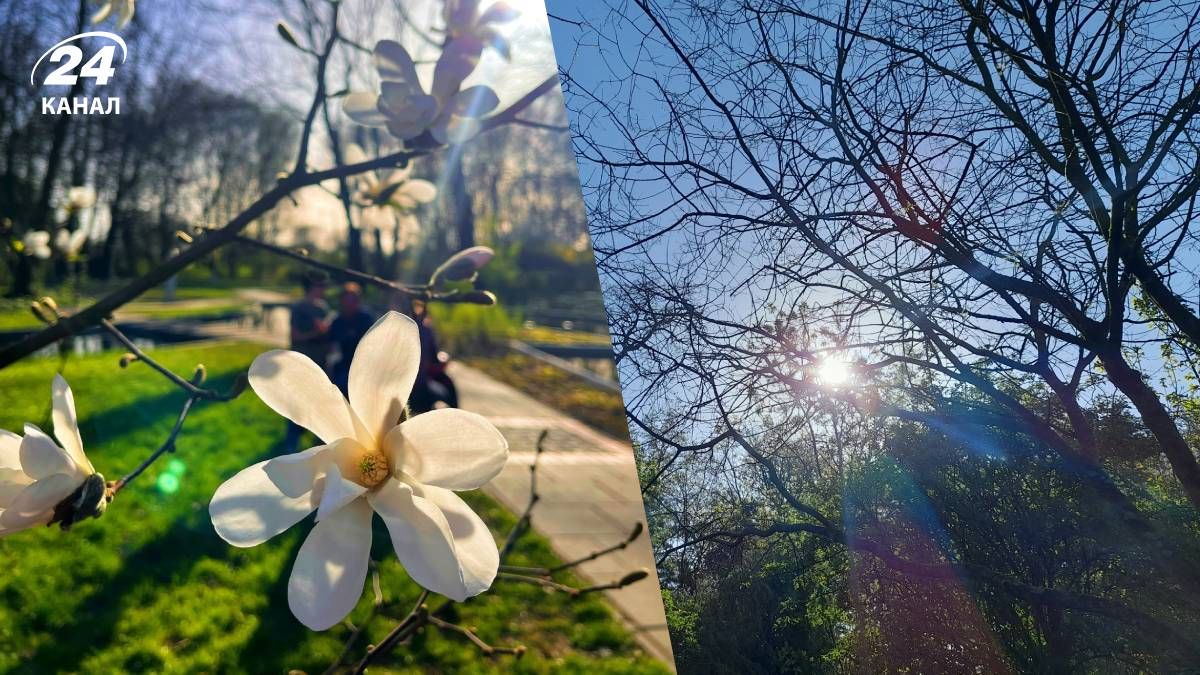 Тепла погода в Україні Тепла погода в Україні