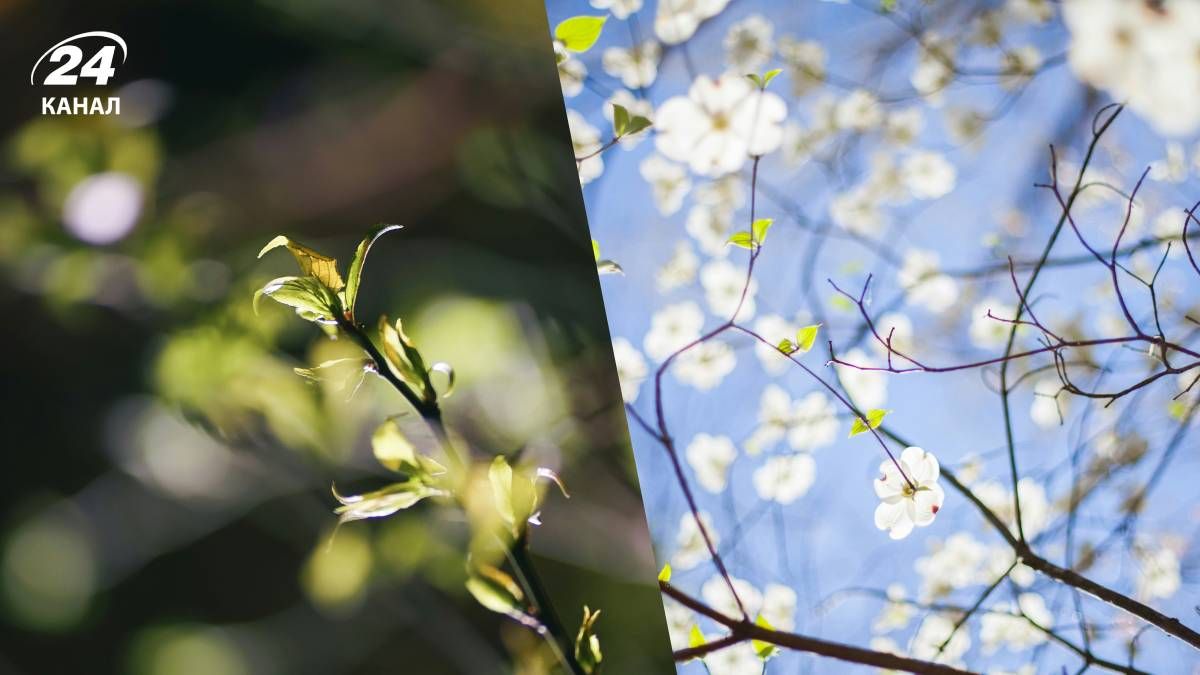 Прогноз погоди на вихідні на території України - 24 Канал Прогноз погоди на вихідні на території України - 24 Канал