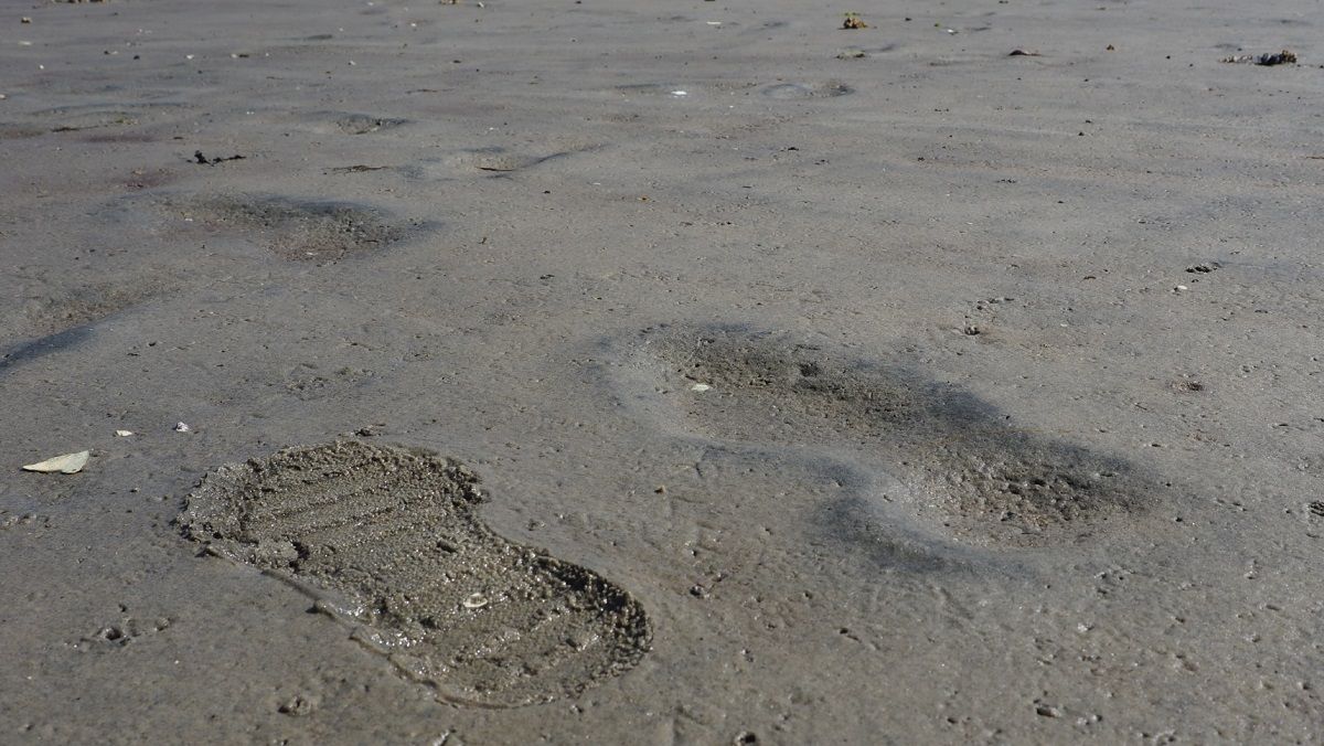 Археологи знайшли 29 відбитків ніг, що змінюють уявлення про перших американців