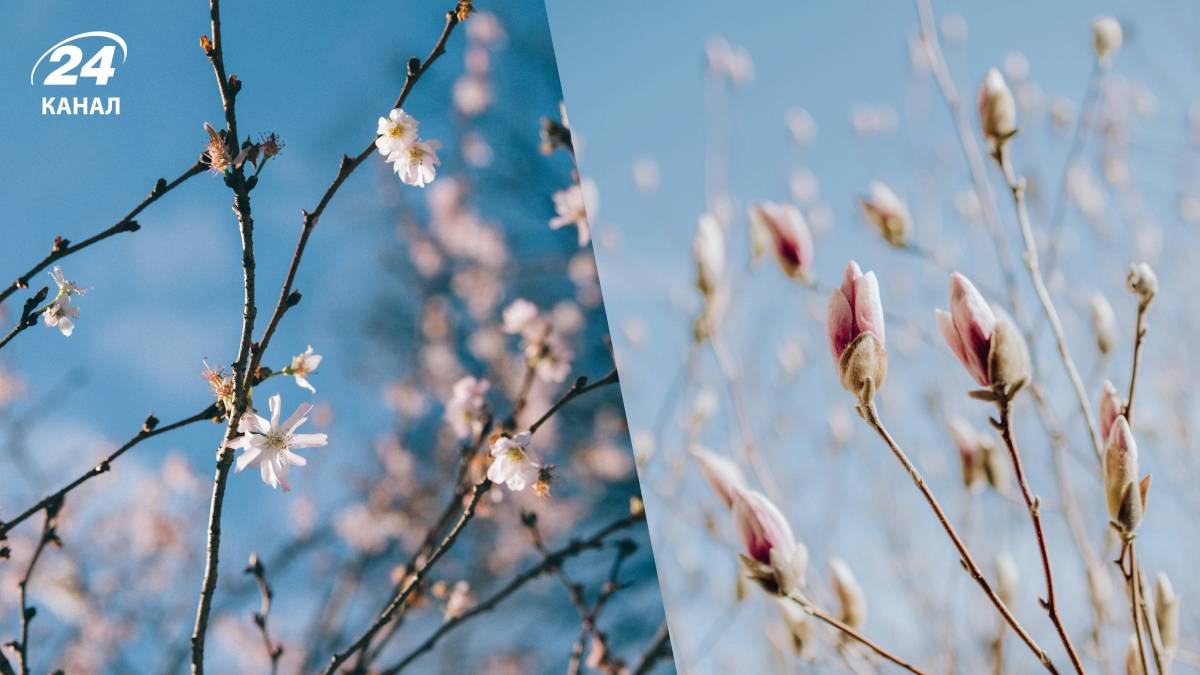 Коли може потеплішати до +17 в Україні: синоптик розповів, якою буде погода до кінця березня