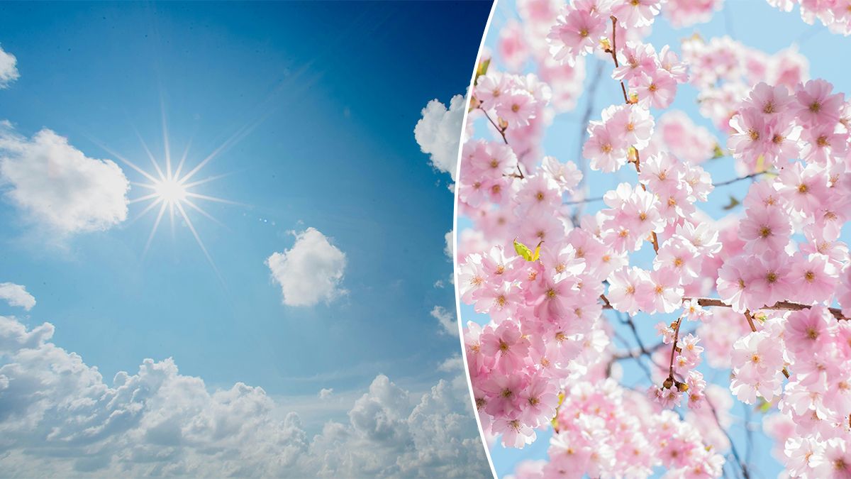 Весняне рівнодення 2026 – дата, особливості та вплив на тривалість дня Весняне рівнодення 2026 – дата, особливості та вплив на тривалість дня