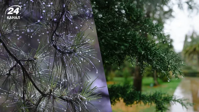 Нова хвиля дощів з мокрим снігом суне в Україну: синоптик назвав дату погіршення погоди