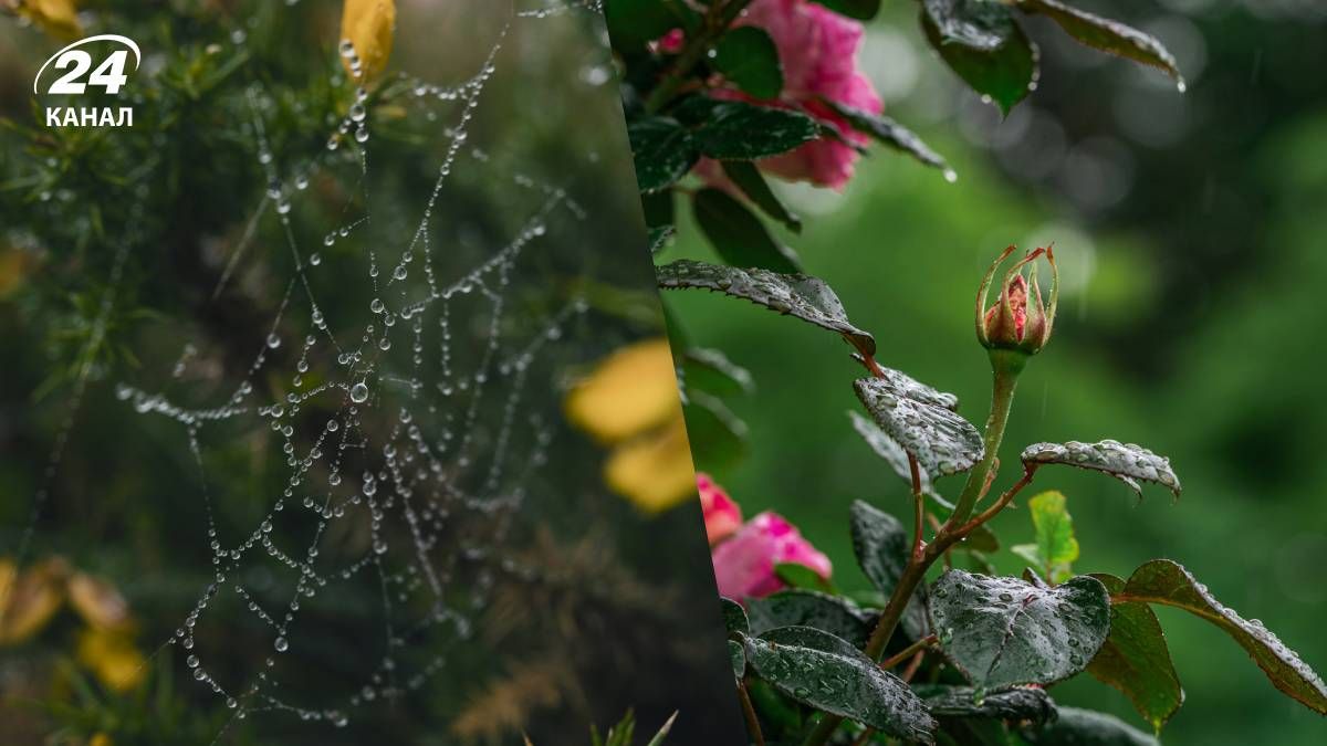 Погода в Україні найближчими днями зміниться Погода в Україні найближчими днями зміниться