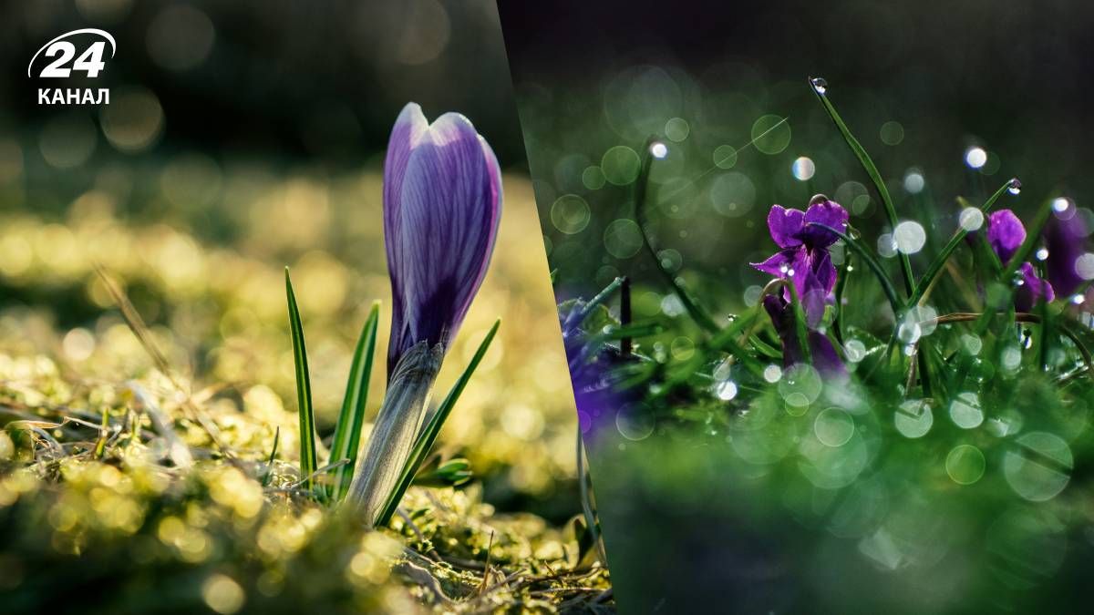 Прогноз погоды на неделю в Украине Прогноз погоды на неделю в Украине