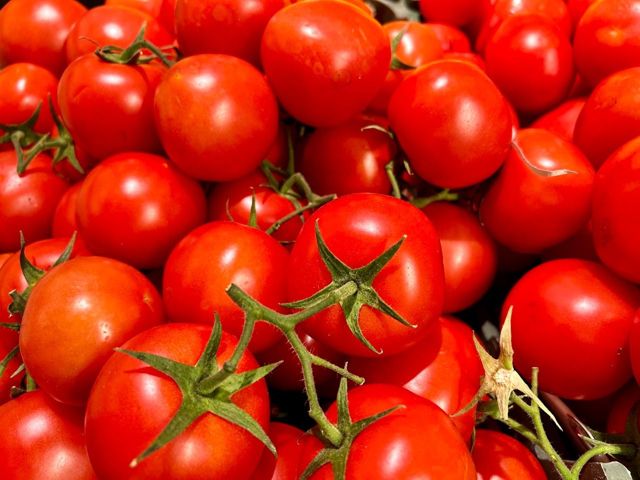 Ціни на помідори злетіли