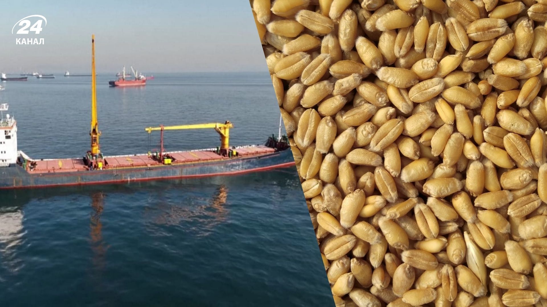 Росія краде українське зерно Росія краде українське зерно