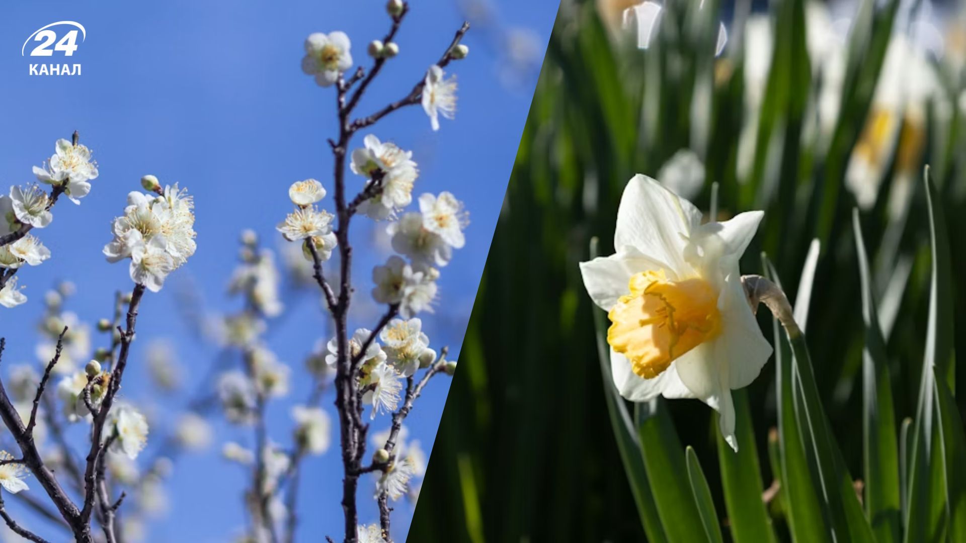 Прогноз погоди на 24 березня