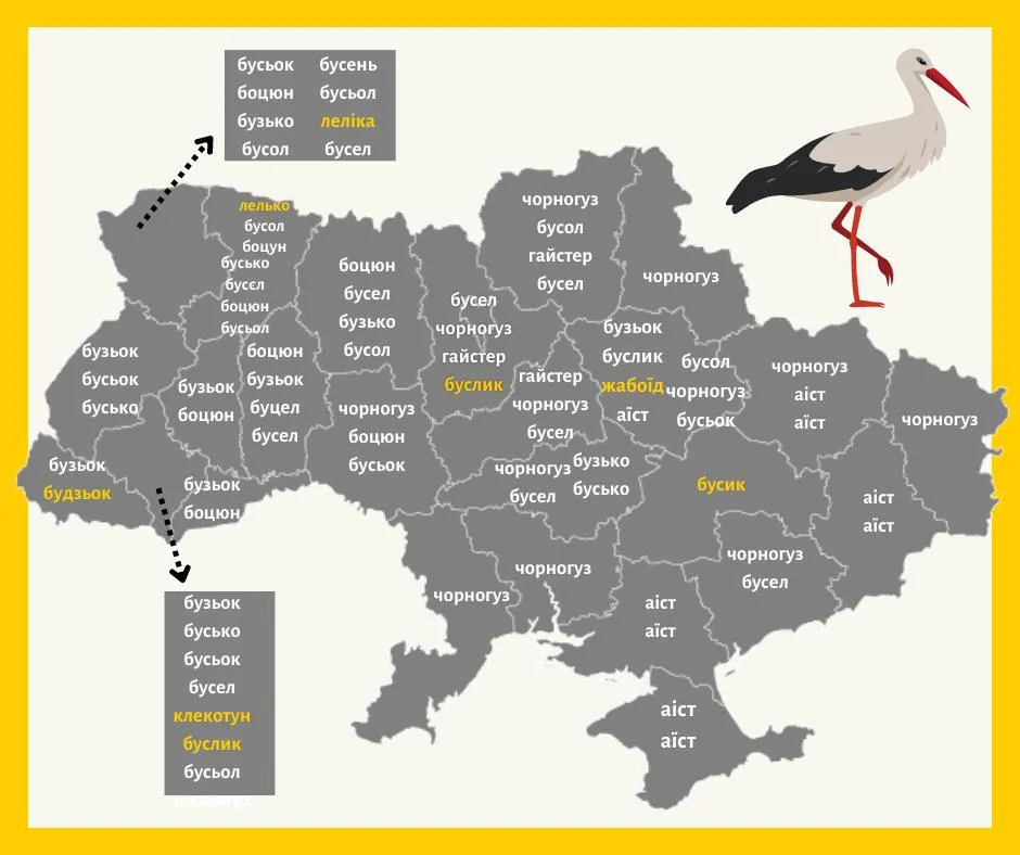Лелеки бусько чорногуз боцюн як в Україні називають лелек Лелеки бусько чорногуз боцюн як в Україні називають лелек