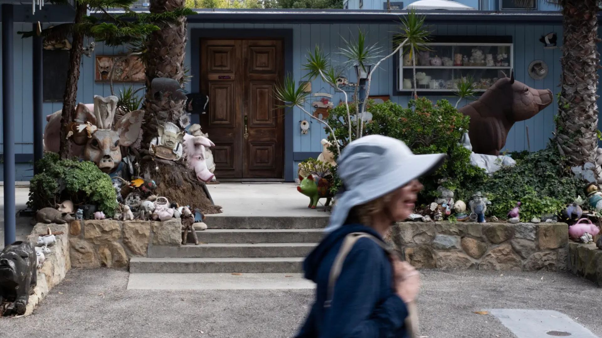 Моторошні свині всюди: як будинок у Монтесіто обурив сусідів