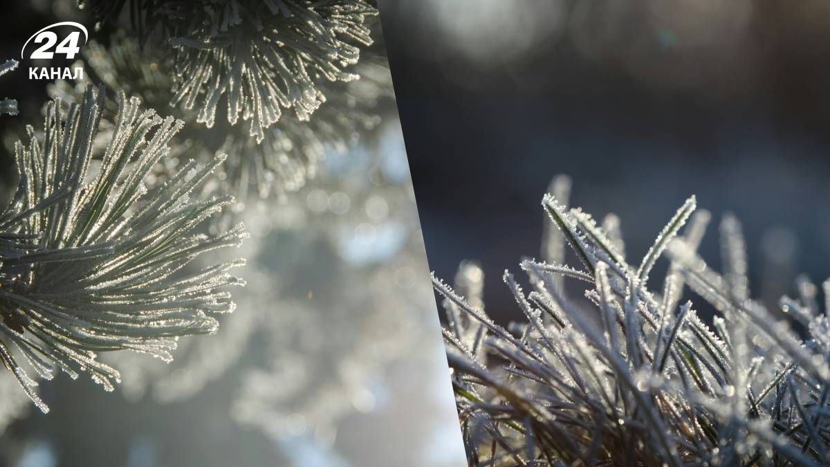 Нічні морози припиняться цього тижня