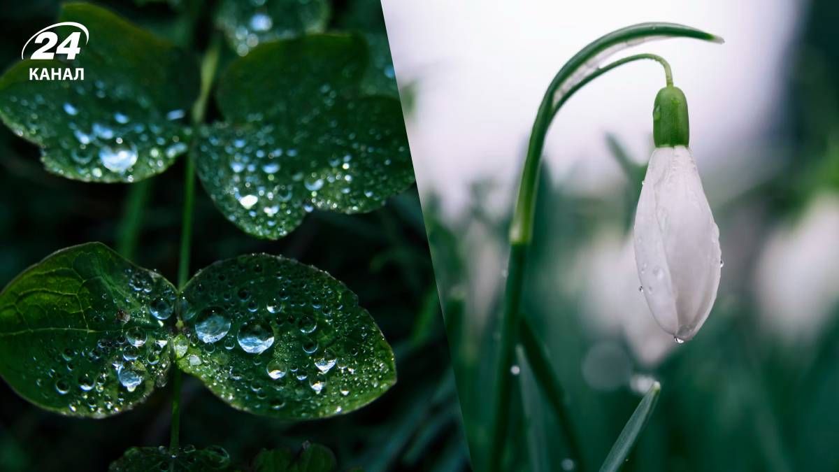 Осадки в Украине в марте 2026 года