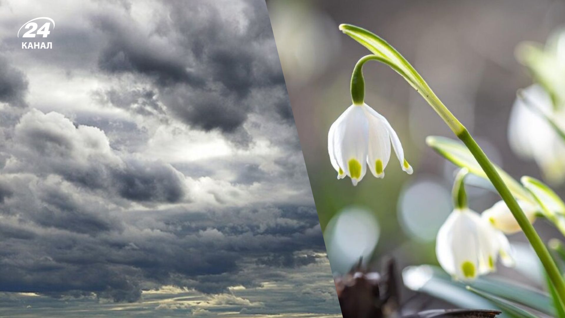 Температура несколько снизится, однако осадков почти не будет: погода на 25 марта - 24 Канал Температура несколько снизится, однако осадков почти не будет: погода на 25 марта - 24 Канал