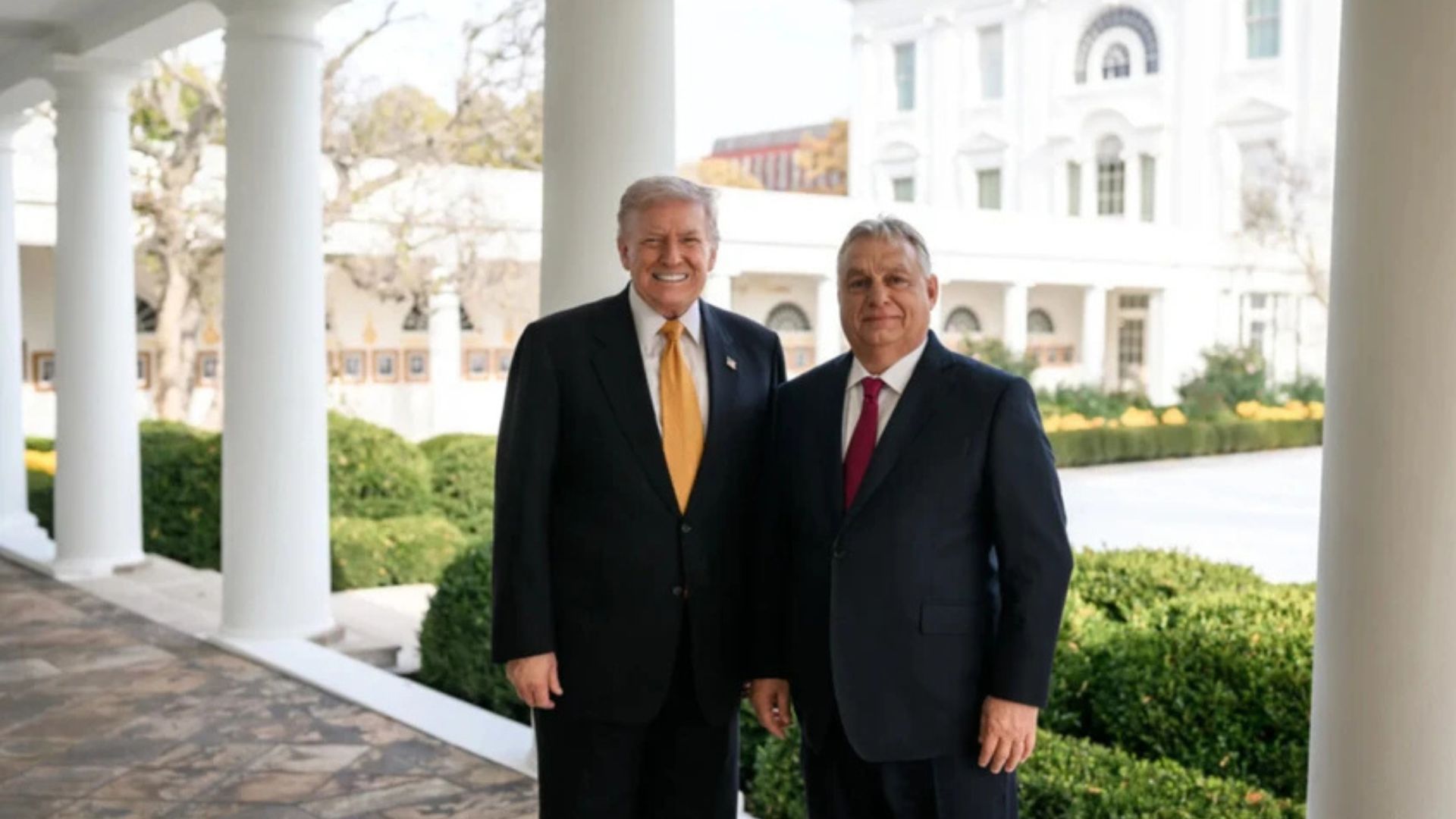 Трамп публічно підтримав Орбана на майбутніх виборах