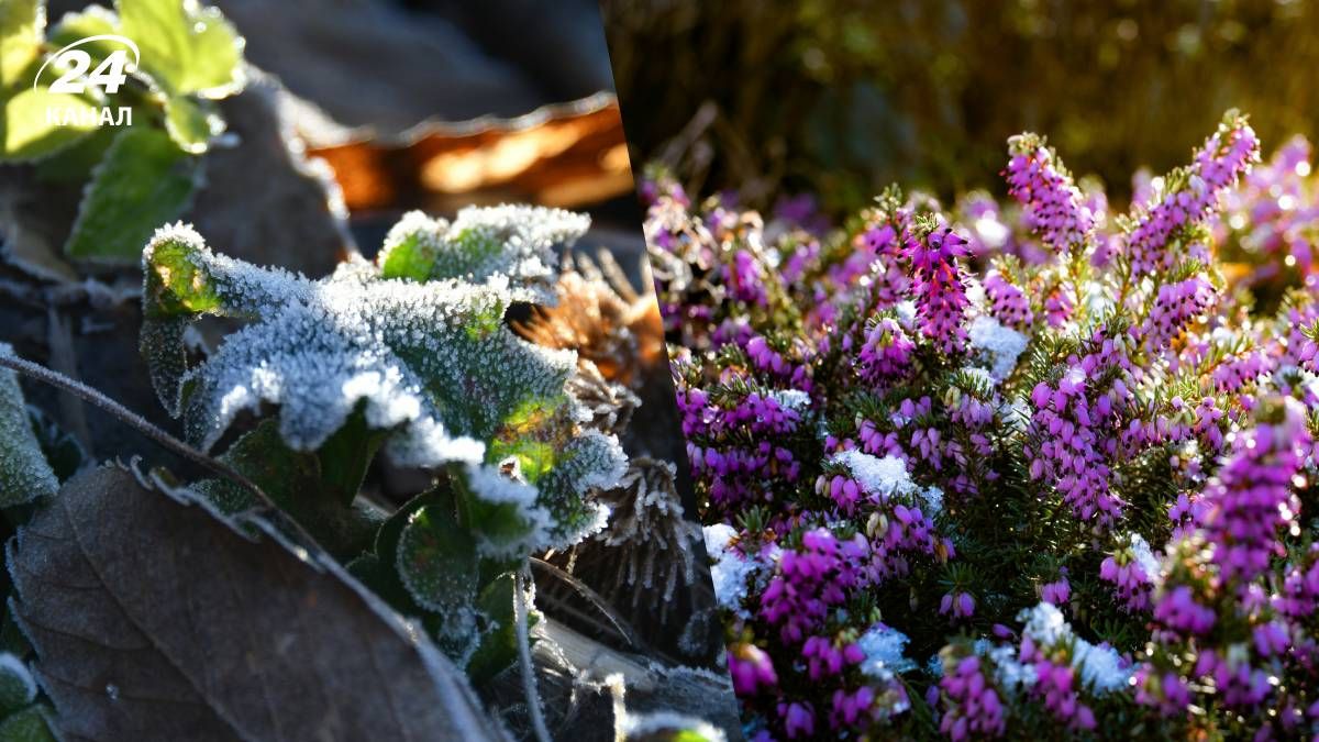 Незначительное похолодание вернется в Украину Незначительное похолодание вернется в Украину