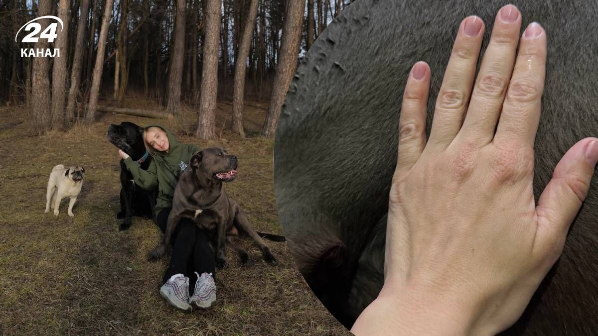 У Елены Мандзюк умерла собака