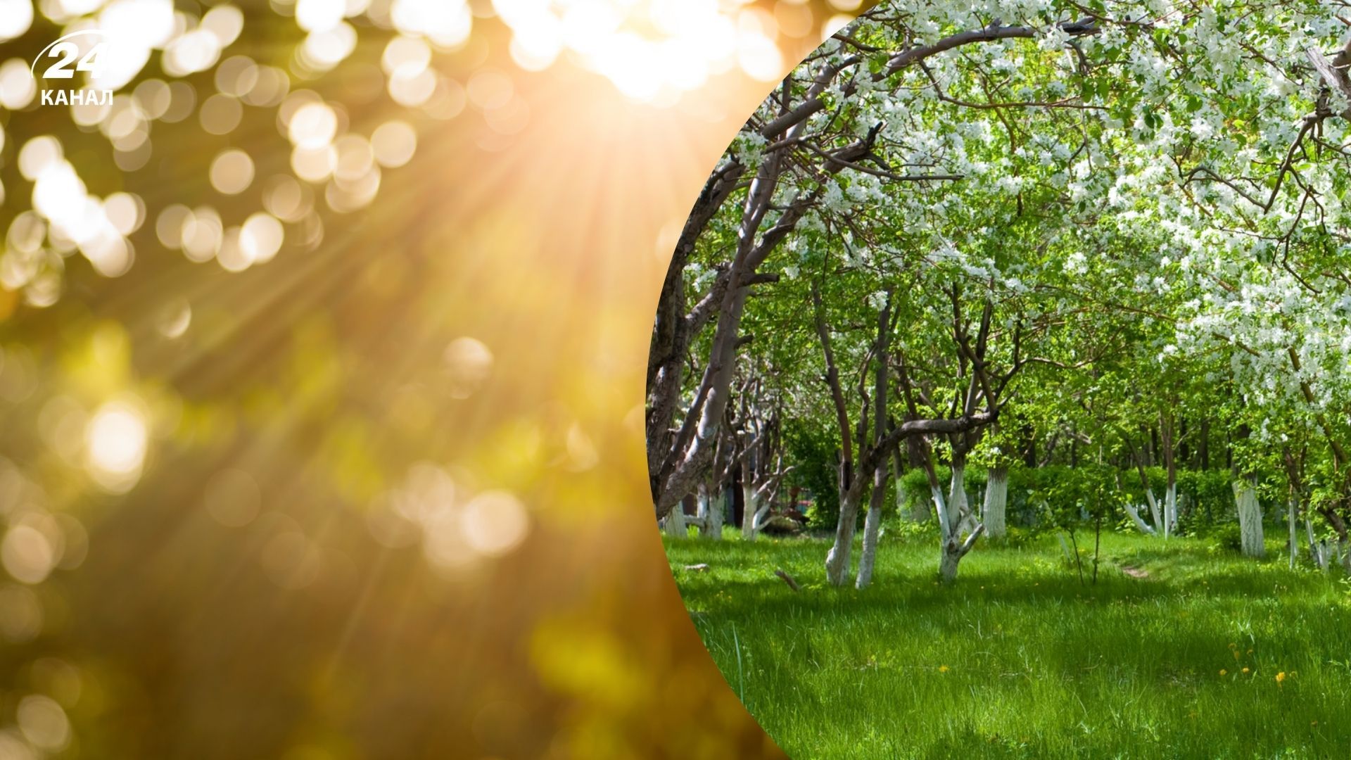 Погода 26 марта в Украине Погода 26 марта в Украине