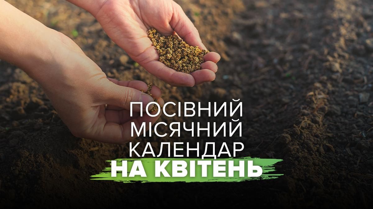 Посевной календарь на апрель 2026 года